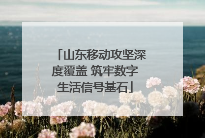 山东移动攻坚深度覆盖 筑牢数字生活信号基石