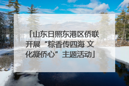 山东日照东港区侨联开展“粽香传四海 文化凝侨心”主题活动