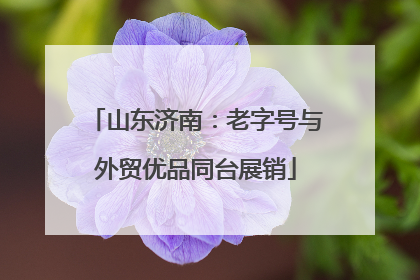 山东济南：老字号与外贸优品同台展销