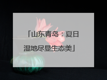 山东青岛：夏日湿地尽显生态美