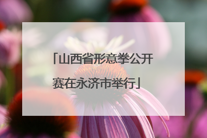 山西省形意拳公开赛在永济市举行
