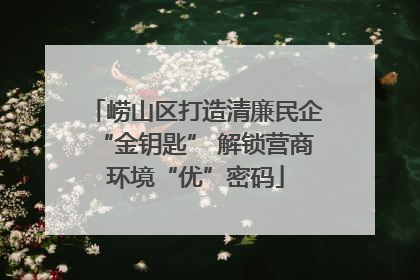 崂山区打造清廉民企“金钥匙” 解锁营商环境“优”密码