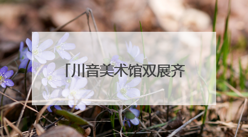 川音美术馆双展齐发，为青年艺术人才提供成长平台