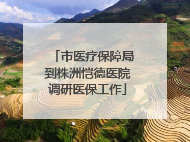 市医疗保障局到株洲恺德医院调研医保工作