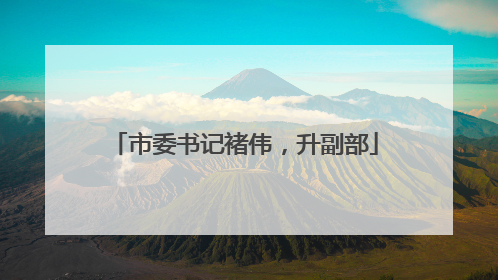 市委书记褚伟，升副部