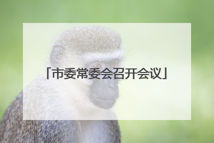 市委常委会召开会议