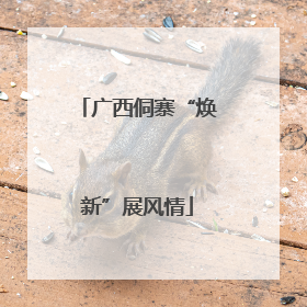 广西侗寨“焕新”展风情