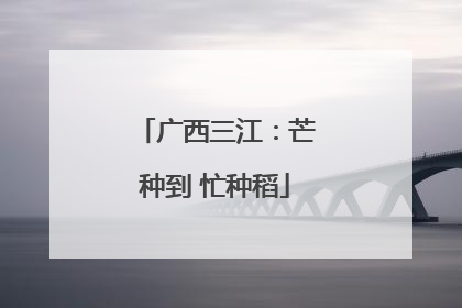 广西三江：芒种到 忙种稻