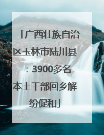 广西壮族自治区玉林市陆川县：3900多名本土干部回乡解纷促和