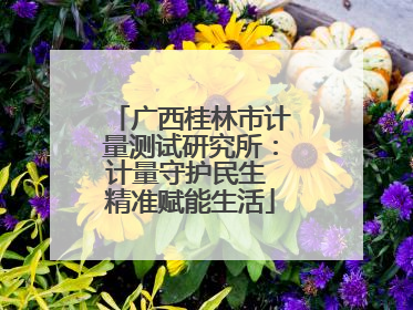 广西桂林市计量测试研究所：计量守护民生 精准赋能生活