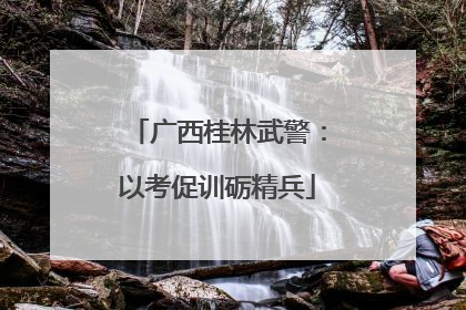 广西桂林武警：以考促训砺精兵