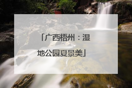 广西梧州：湿地公园夏景美