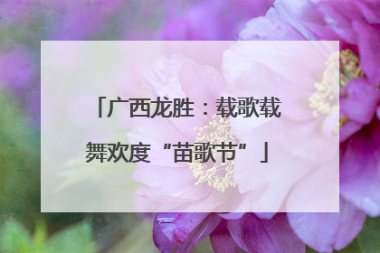 广西龙胜：载歌载舞欢度“苗歌节”