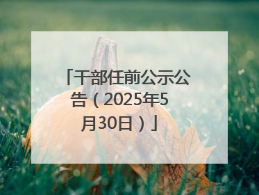 干部任前公示公告（2025年5月30日）