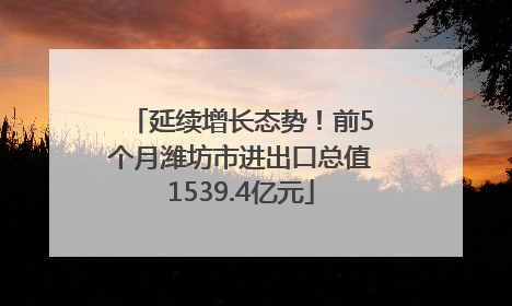 延续增长态势！前5个月潍坊市进出口总值1539.4亿元