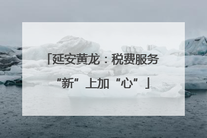 延安黄龙：税费服务“新”上加“心”