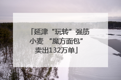 延津“玩转”强筋小麦 “魔方面包”卖出132万单
