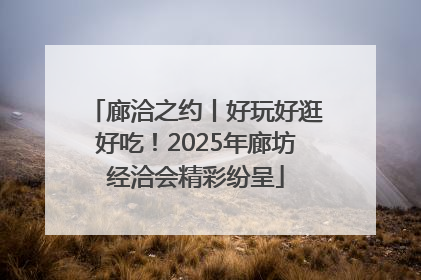 廊洽之约丨好玩好逛好吃！2025年廊坊经洽会精彩纷呈
