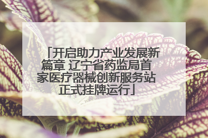 开启助力产业发展新篇章 辽宁省药监局首家医疗器械创新服务站正式挂牌运行