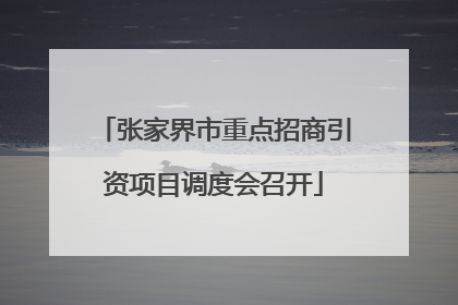 张家界市重点招商引资项目调度会召开