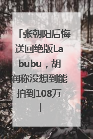 张朝阳后悔送回绝版Labubu，胡润称没想到能拍到108万