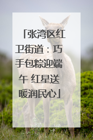 张湾区红卫街道：巧手包粽迎端午 红星送暖润民心