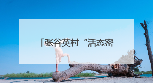 张谷英村“活态密码”引百万客！古村焕新，家风+科技成文旅融合新爆点