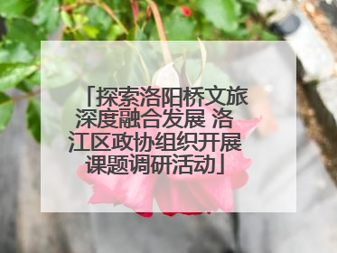 探索洛阳桥文旅深度融合发展 洛江区政协组织开展课题调研活动