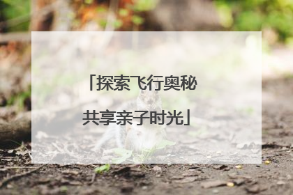 探索飞行奥秘 共享亲子时光