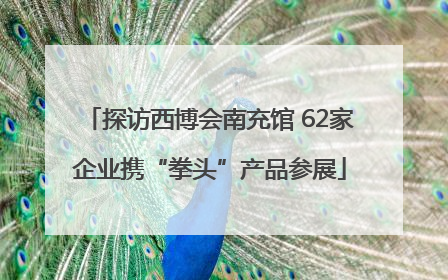 探访西博会南充馆 62家企业携“拳头”产品参展