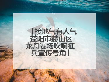 接地气有人气 益阳市赫山区龙舟赛场吹响征兵宣传号角