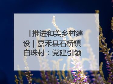 推进和美乡村建设｜嘉禾县石桥镇白珠村：党建引领破“空”局 乡贤聚力绘就新图景