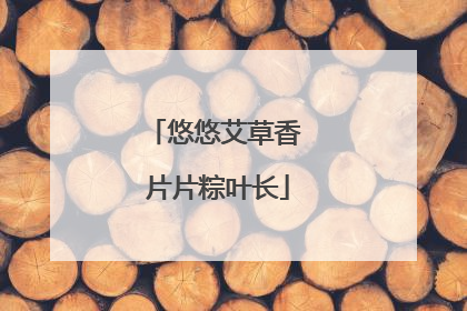 悠悠艾草香 片片粽叶长