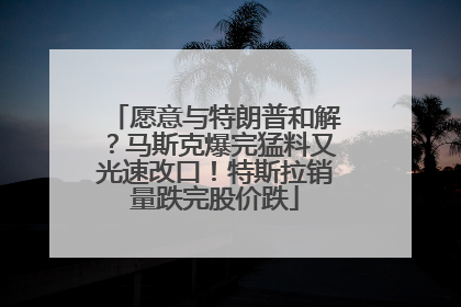 愿意与特朗普和解？马斯克爆完猛料又光速改口！特斯拉销量跌完股价跌