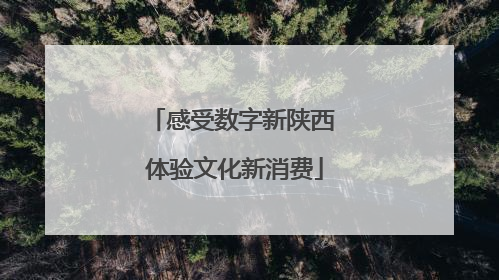 感受数字新陕西 体验文化新消费