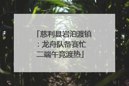 慈利县岩泊渡镇：龙舟队备赛忙 二端午竞渡热