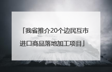 我省推介20个边民互市进口商品落地加工项目