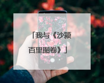 我与《沙颍百里图卷》