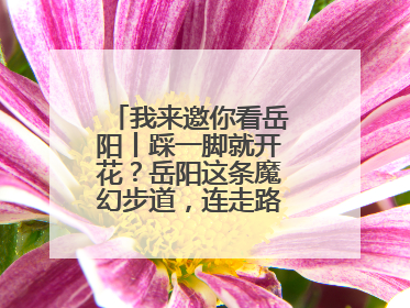 我来邀你看岳阳丨踩一脚就开花？岳阳这条魔幻步道，连走路都变得好玩！