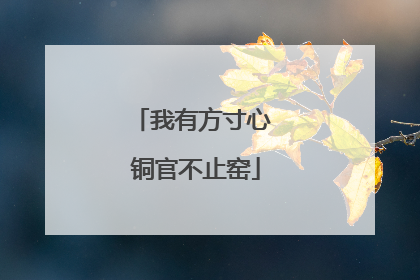 我有方寸心 铜官不止窑