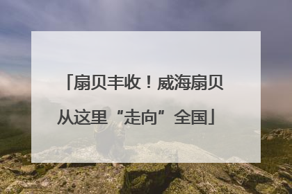 扇贝丰收！威海扇贝从这里“走向”全国