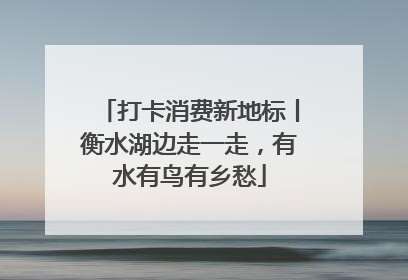 打卡消费新地标丨衡水湖边走一走，有水有鸟有乡愁