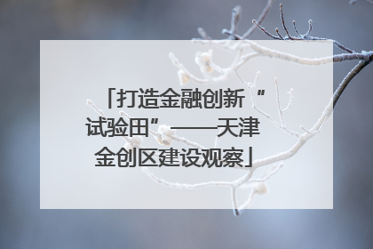 打造金融创新“试验田”——天津金创区建设观察