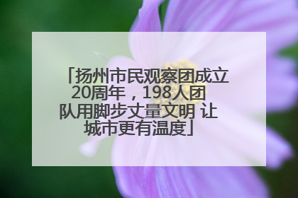 扬州市民观察团成立20周年，198人团队用脚步丈量文明 让城市更有温度
