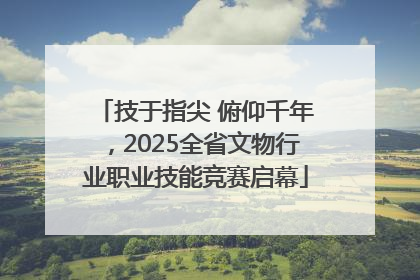 技于指尖 俯仰千年，2025全省文物行业职业技能竞赛启幕