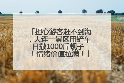 担心游客赶不到海，大连一景区用铲车日撒1000斤蚬子！情绪价值拉满！