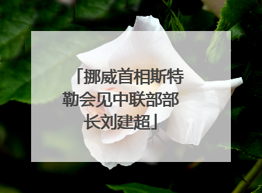 挪威首相斯特勒会见中联部部长刘建超
