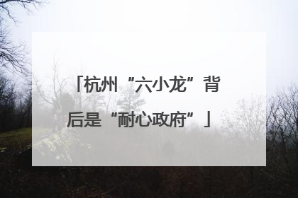 杭州“六小龙”背后是“耐心政府”