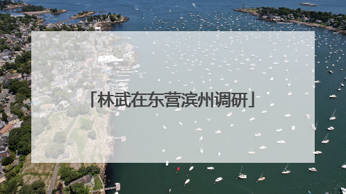 林武在东营滨州调研