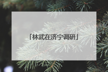林武在济宁调研